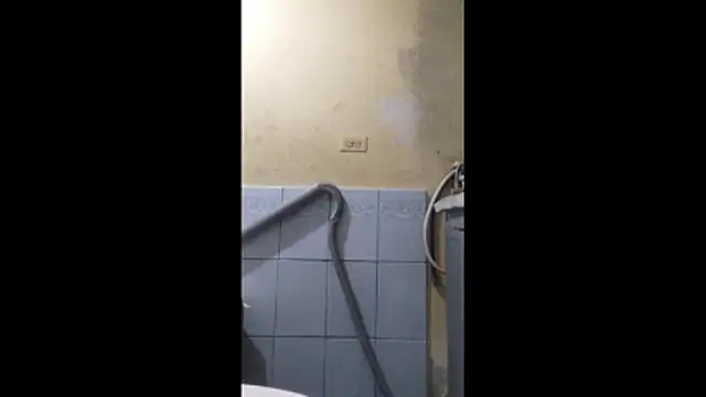 Snapshot of Dmoa34 chatting on January 2026 03:56:01 AM Dmoa34 online show from January 2026 03:56:01 AM