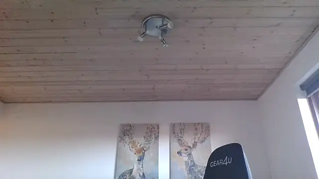 Gotta1 online show from December 2024 11:44:01 AM