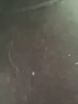 melyescobar online show from January 2025 12:06:01 PM