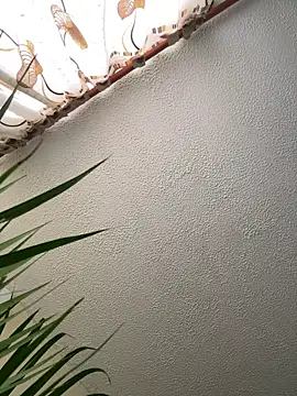 Snapshot of Arii_vega_ chatting on February 2025 09:05:02 PM Arii vega online show from February 2025 09:05:02 PM