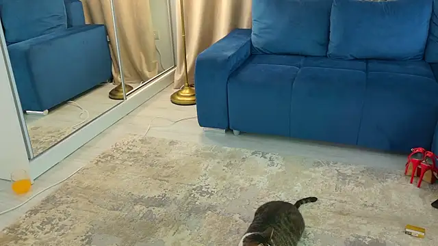 Snapshot of Addictive_T chatting on February 2025 04:54:02 AM Addictive T online show from February 2025 04:54:02 AM