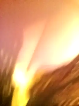 Snapshot of JAWHARA_ chatting on December 2025 10:03:01 PM JAWHARA online show from December 2025 10:03:01 PM