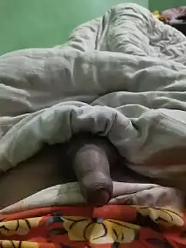 Snapshot of iaparna chatting on December 2024 05:13:01 PM iaparna online show from December 2024 05:13:01 PM