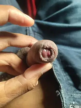 Snapshot of iaparna chatting on November 2025 07:58:01 AM iaparna online show from November 2025 07:58:01 AM