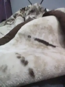 Snapshot of iaparna chatting on December 2025 04:23:02 PM iaparna online show from December 2025 04:23:02 PM