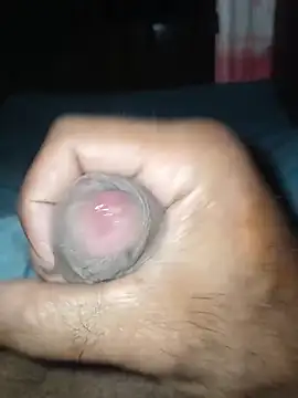 taylorWiiz online show from December 2025 01:09:02 PM