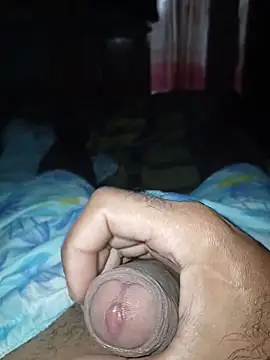 taylorWiiz online show from February 2026 02:14:01 PM