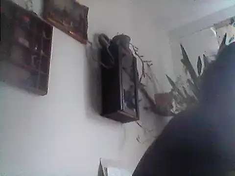 Bigpenis6y online show from December 2024 01:17:02 PM