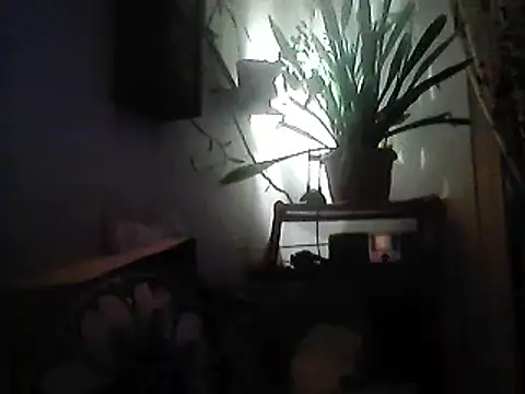 Bigpenis6y online show from December 2024 03:57:02 PM