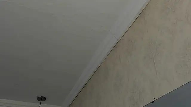 Snapshot of sofiaclauss chatting on February 2025 04:47:01 AM sofiaclauss online show from February 2025 04:47:01 AM