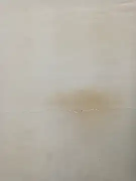 Rina777o online show from March 2025 06:11:02 PM