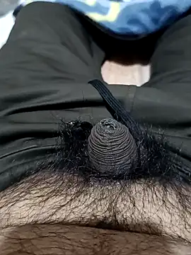 Snapshot of punjabimunda28 chatting on January 2025 04:52:02 AM punjabimunda28 online show from January 2025 04:52:02 AM