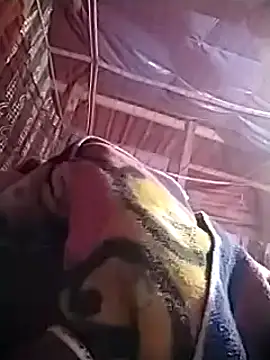 Satheroy online show from December 2024 05:37:01 PM