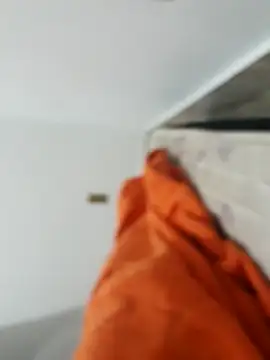 lm279 online show from November 2025 04:16:02 PM