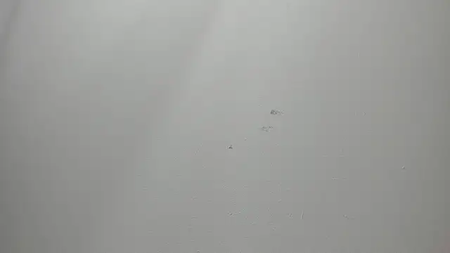 Snapshot of JackSwan18 chatting on December 2025 07:33:02 PM JackSwan18 online show from December 2025 07:33:02 PM