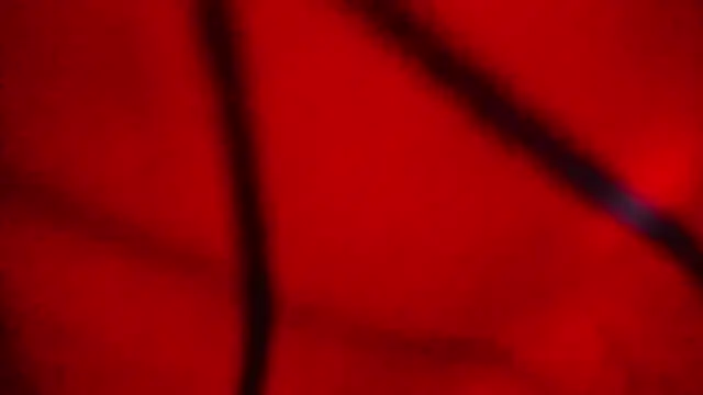 Nathaly love96 online show from February 2026 07:47:02 PM