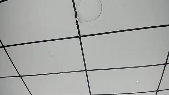 Sophia Lemos online show from October 2025 01:45:02 PM