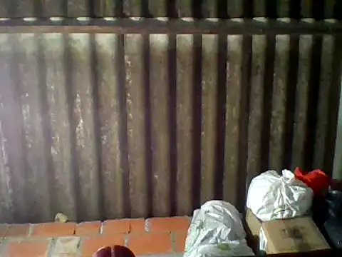 Snapshot of dafne19_ chatting on February 2025 09:37:01 AM dafne19 online show from February 2025 09:37:01 AM