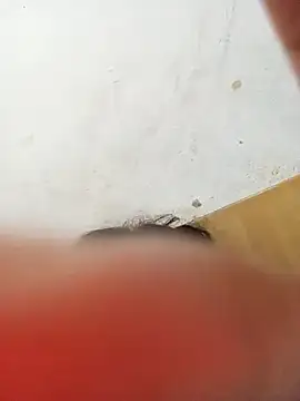 ambarlennoix online show from January 2025 10:34:02 AM