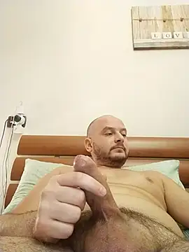 user 662 online show from November 2025 02:09:02 PM