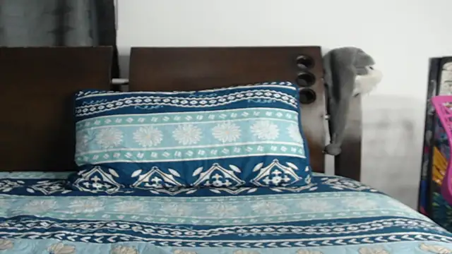 Snapshot of Tobicutee chatting on February 2026 04:17:02 AM Tobicutee online show from February 2026 04:17:02 AM