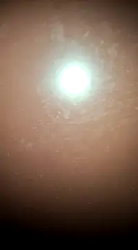 tall nangu online show from February 2025 06:04:02 PM