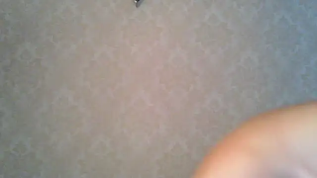 Kashtanka  online show from October 2025 07:56:01 AM