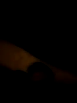 LAN69XXXX online show from March 2026 07:31:01 PM