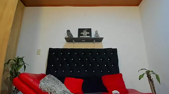 Snapshot of julian_wallace chatting on February 2025 04:48:02 PM julian wallace online show from February 2025 04:48:02 PM