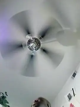 HBYAM online show from March 2025 01:17:01 PM