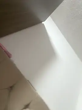 Snapshot of Palomasoouzaaak chatting on February 2026 02:29:01 PM Palomasoouzaaak online show from February 2026 02:29:01 PM