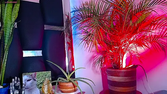 RyanRizzo online show from January 2025 07:24:01 PM