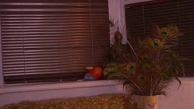 Snapshot of divinelights chatting on November 2025 05:02:02 PM divinelights online show from November 2025 05:02:02 PM