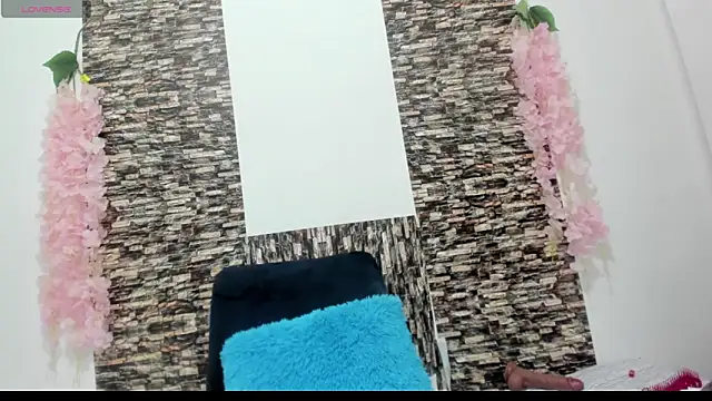 Snapshot of Paula-Harrison chatting on November 2025 03:01:02 PM Paula-Harrison online show from November 2025 03:01:02 PM