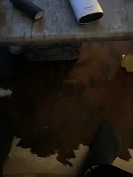 Snapshot of Tyson8897 chatting on January 2026 07:55:01 AM Tyson8897 online show from January 2026 07:55:01 AM