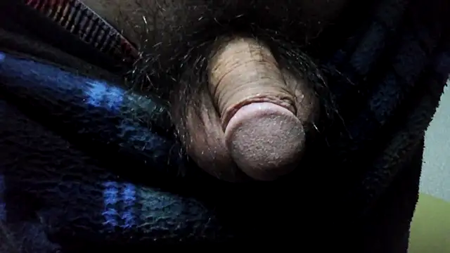 Snapshot of ikkakusai11 chatting on December 2024 08:11:02 AM ikkakusai11 online show from December 2024 08:11:02 AM