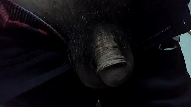 Snapshot of ikkakusai11 chatting on December 2024 11:49:02 AM ikkakusai11 online show from December 2024 11:49:02 AM