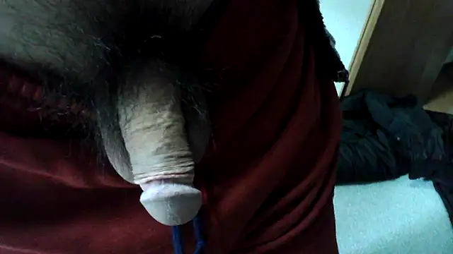 Snapshot of ikkakusai11 chatting on January 2025 03:48:01 AM ikkakusai11 online show from January 2025 03:48:01 AM