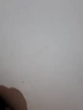 sweet Melody xx online show from September 2025 01:11:01 AM