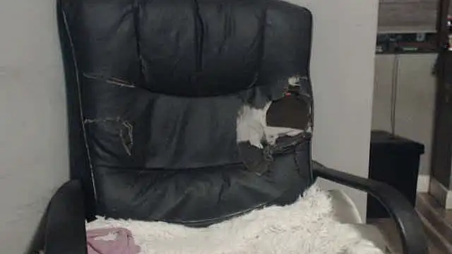 Snapshot of sexyfuckers chatting on November 2025 09:37:01 PM sexyfuckers online show from November 2025 09:37:01 PM