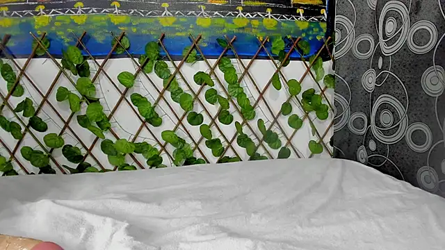 ANEVANS2 online show from January 2025 02:42:02 PM