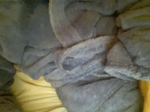 Snapshot of Ariete80s chatting on February 2025 06:56:02 PM Ariete80s online show from February 2025 06:56:02 PM