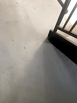 Snapshot of zeekBbc chatting on October 2025 02:21:02 PM zeekBbc online show from October 2025 02:21:02 PM