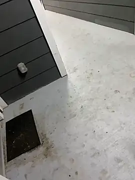 Snapshot of zeekBbc chatting on February 2026 05:00:02 AM zeekBbc online show from February 2026 05:00:02 AM