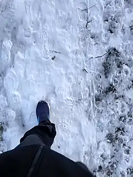 Snapshot of OdinWolf1990 chatting on January 2026 08:49:02 AM OdinWolf1990 online show from January 2026 08:49:02 AM