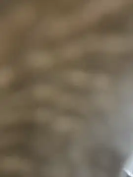 Snapshot of BhadBhad_Kitty chatting on February 2025 06:45:01 AM BhadBhad Kitty online show from February 2025 06:45:01 AM