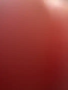 Snapshot of portugadopau chatting on September 2025 04:07:02 PM portugadopau online show from September 2025 04:07:02 PM