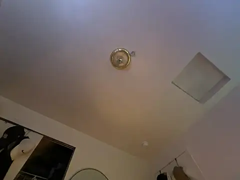 Snapshot of ganosex chatting on December 2024 07:17:02 AM ganosex online show from December 2024 07:17:02 AM