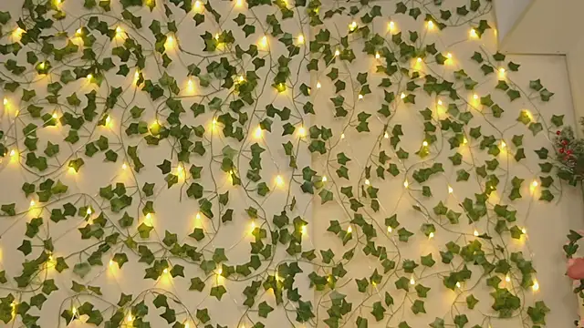 Snapshot of Brenda_M00n chatting on January 2025 09:25:02 PM Brenda M00n online show from January 2025 09:25:02 PM