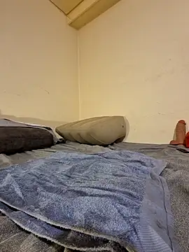 Snapshot of fox--3 chatting on February 2026 05:00:02 AM fox--3 online show from February 2026 05:00:02 AM